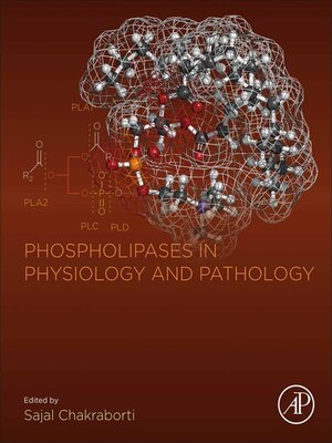 cover image of Phospholipases in Physiology and Pathology